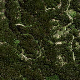 Satellite imagery of 176A WHAKAUMU, NZ