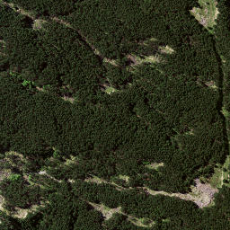 Satellite imagery of 175, NZ