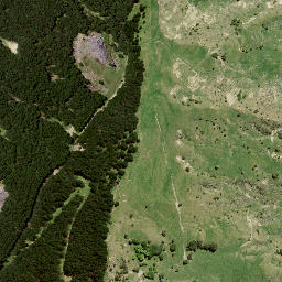 Satellite imagery of 175, NZ