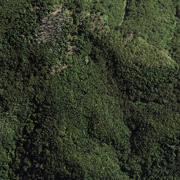 Satellite imagery of 179 TOIROA, NZ