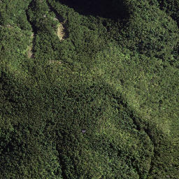 Satellite imagery of 179 TOIROA, NZ