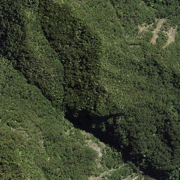 Satellite imagery of 179 TOIROA, NZ