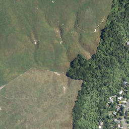 Satellite imagery of Te Miro Point, NZ