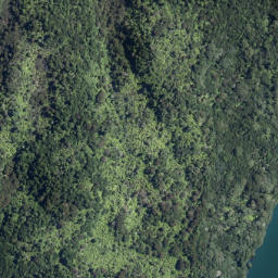 Satellite imagery of Te Toitoi Point, NZ