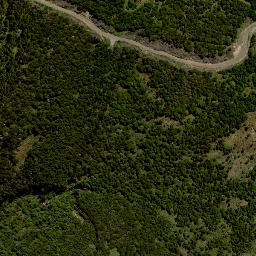 Satellite imagery of 8076, NZ