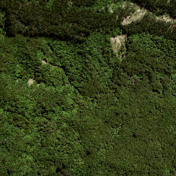 Satellite imagery of 176A WHAKAUMU, NZ