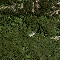 Satellite imagery of 176A WHAKAUMU, NZ
