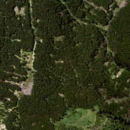 Satellite imagery of 175, NZ