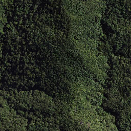 Satellite imagery of 179 TOIROA, NZ