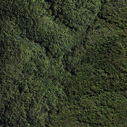 Satellite imagery of 179 TOIROA, NZ
