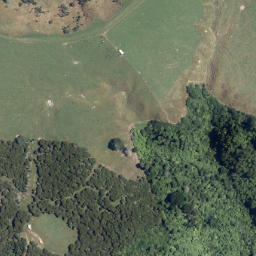 Satellite imagery of Te Miro Point, NZ