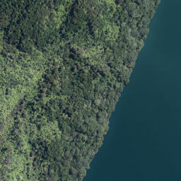 Satellite imagery of Te Toitoi Point, NZ