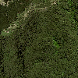 Satellite imagery of 175, NZ