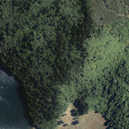 Satellite imagery of Te Whare Point, NZ