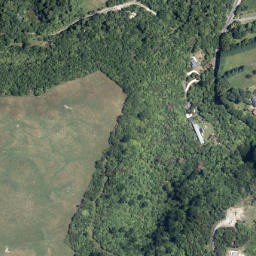 Satellite imagery of Te Whare Point, NZ