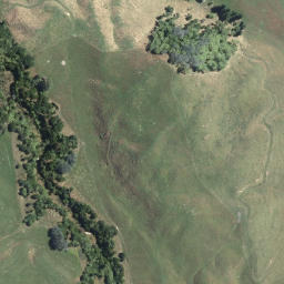 Satellite imagery of Te Whare Point, NZ