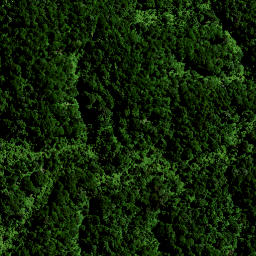 Satellite imagery of Hauturu No 2, NZ