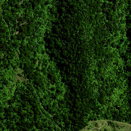 Satellite imagery of Hauturu No 2, NZ