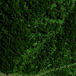 Satellite imagery of Hauturu No 2, NZ