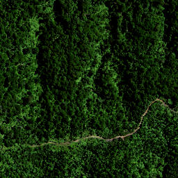 Satellite imagery of Hauturu No 2, NZ