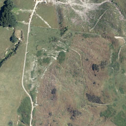 Satellite imagery of Te Toroa Point, NZ