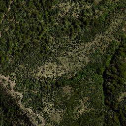Satellite imagery of M9 PUKEKIORE, NZ