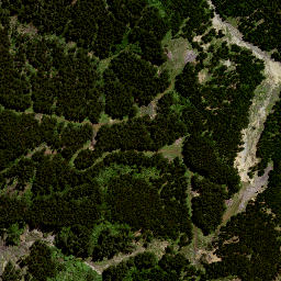 Satellite imagery of 189 NO 2, NZ