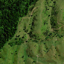 Satellite imagery of Hauturu No 2, NZ