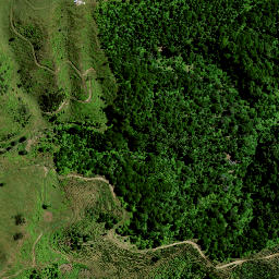 Satellite imagery of Hauturu No 2, NZ