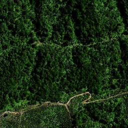 Satellite imagery of Hauturu No 2, NZ