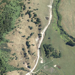 Satellite imagery of Te Toroa Point, NZ