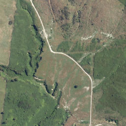 Satellite imagery of Te Toroa Point, NZ
