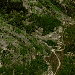 Satellite imagery of 189 NO 2, NZ