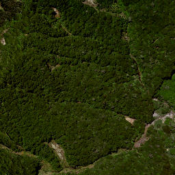 Satellite imagery of 189 NO 2, NZ