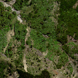 Satellite imagery of 189 NO 2, NZ
