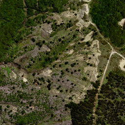 Satellite imagery of 189 NO 2, NZ