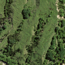 Satellite imagery of 8096, NZ