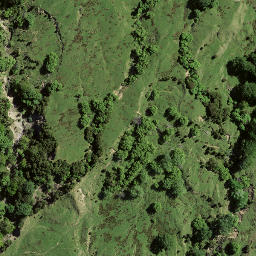 Satellite imagery of 8096, NZ