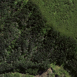 Satellite imagery of K57, NZ