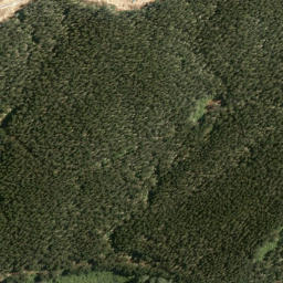 Satellite imagery of Owhitiki Point, NZ