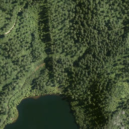 Satellite imagery of Owhitiki Point, NZ