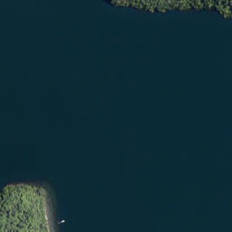 Satellite imagery of Putauaki Point, NZ