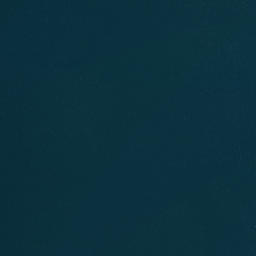 Satellite imagery of Putauaki Point, NZ