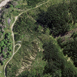 Satellite imagery of 8092, NZ