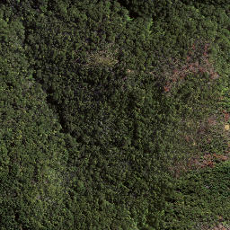 Satellite imagery of 174, NZ