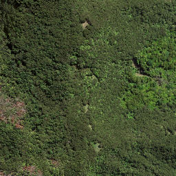 Satellite imagery of 174, NZ