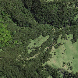 Satellite imagery of 174, NZ