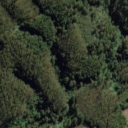 Satellite imagery of Mineral Mahuilque, CL