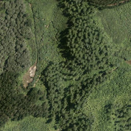 Satellite imagery of Owhitiki Point, NZ
