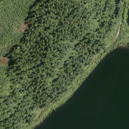 Satellite imagery of Owhitiki Point, NZ
